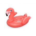 41526 (160x120) flamingo